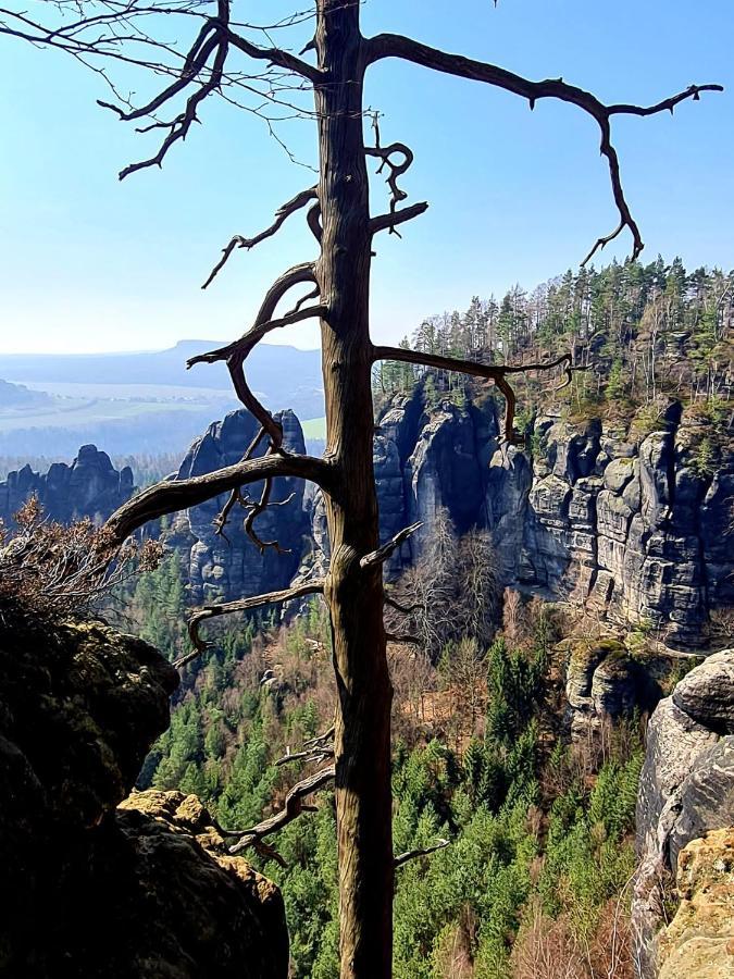 Villa Arizona Bad Schandau Dış mekan fotoğraf