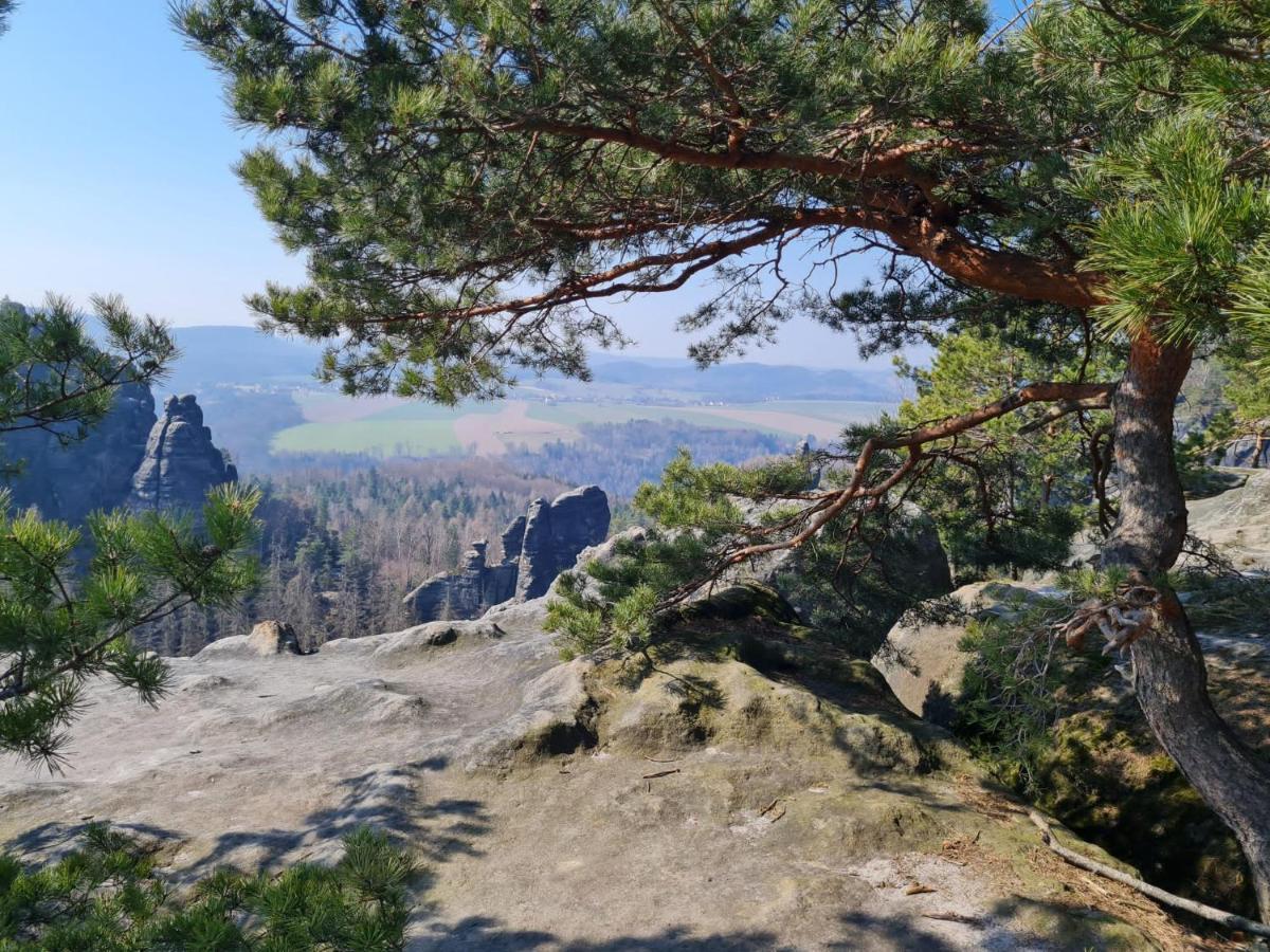 Villa Arizona Bad Schandau Dış mekan fotoğraf